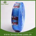 Costume Colorido e Desenhos animados Printed Grosgrain Ribbon em estoque